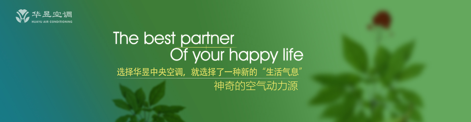 一无所闻网